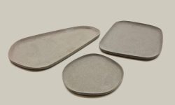 001_Ardea_02-800x800