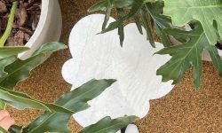 158836414_538732623768747_3246525137656350573_n