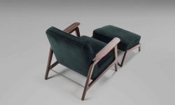 2018 - Poltrona Neo Frank (2)