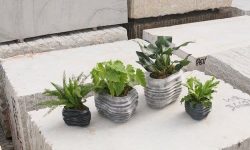 Foto+Syd+Lucas+IMG_4648+edit