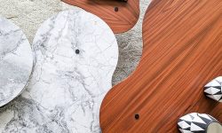 IMG_20210226_092011+-+Copia