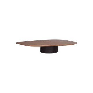 MESA DE CENTRO AMORFA - P - P