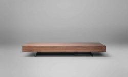 Mesa Fly de Centro (3)