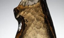 terpins.com_01-rochoso_6556f-low-267x400