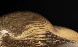 terpins.com_05-origem_7156f-low-600x400