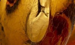 terpins.com_06-serrano_6693f-low-267x400