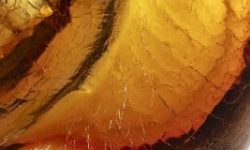 terpins.com_07-serrano_6689f-low-267x400