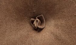 terpins.com_tariki_-7498-f-low-400x400